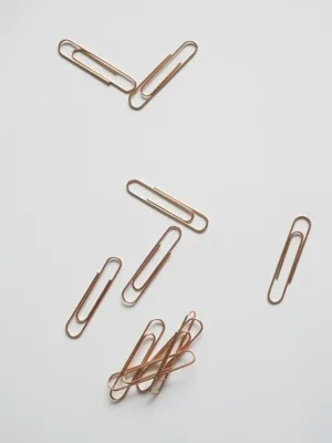 Clips decorativos