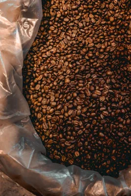 Apaneca Bourbon lavado